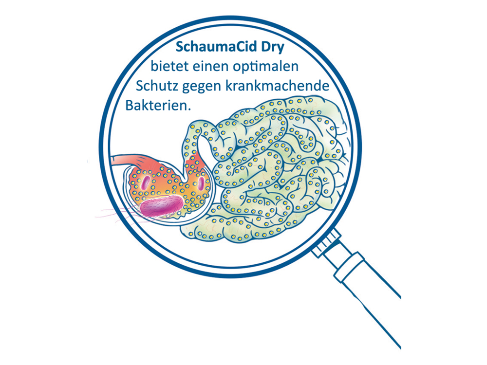 Vorteile von SchaumaCid Dry