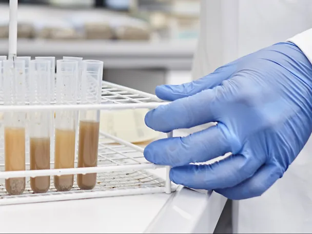 Test tubes in the laboratory