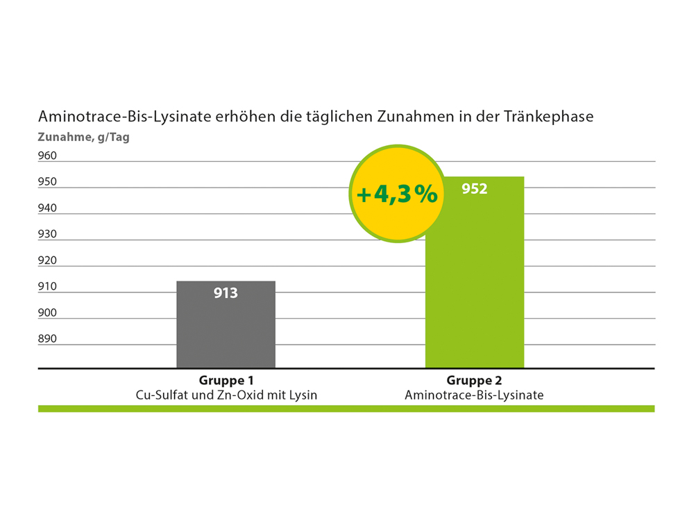 Aminotrace Bis-Lysinate 