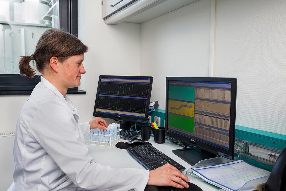 Auswertung der HPLC-Chromatogramme