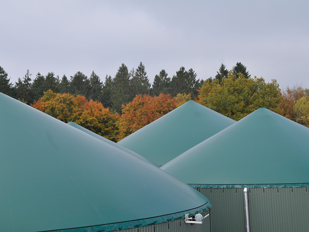 Biogas plant