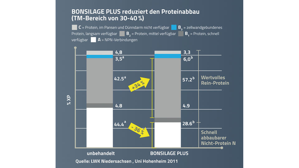 Darstellung 1