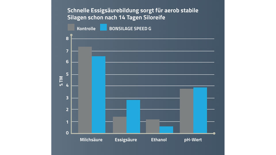 Darstellung 2