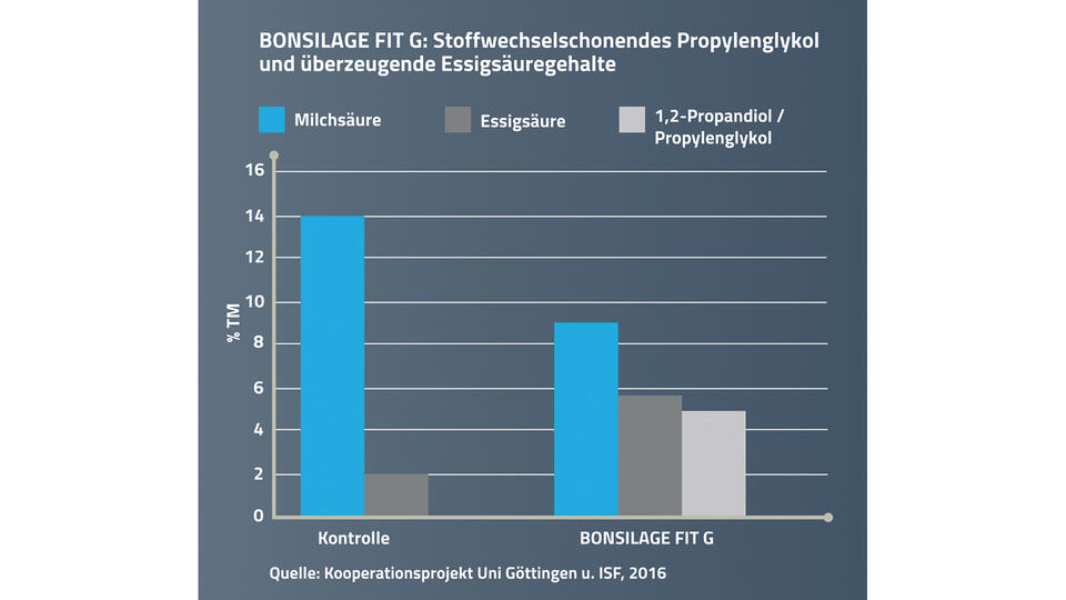 Darstellung 3